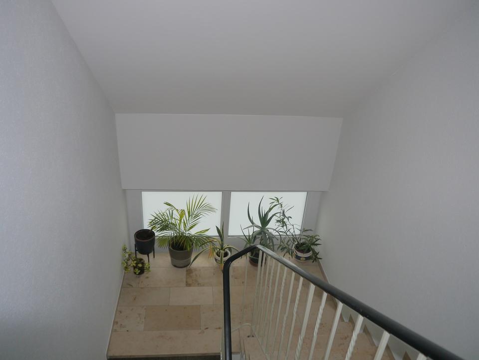 Moderne 3-Raumwohnung in direkter Nachbarschaft zum Marienbergpark – Bild 4