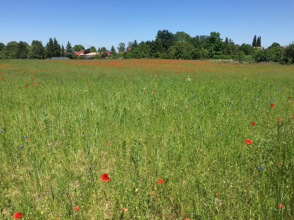 Landhaus Templin OT, provisionsfrei – Bild 10